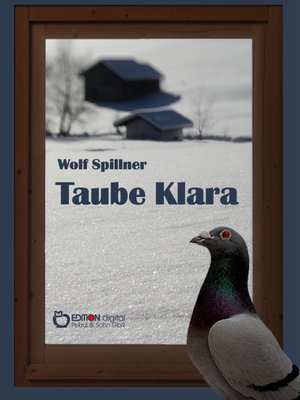 cover image of Taube Klara oder Zufälle gibt es nicht